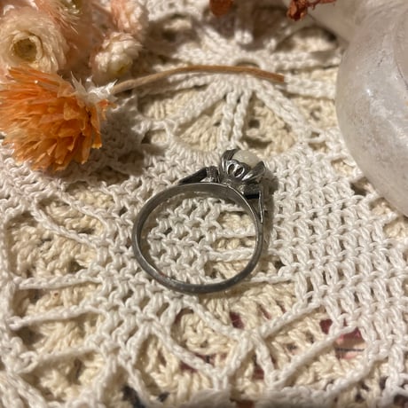 accessory 547[ge833]