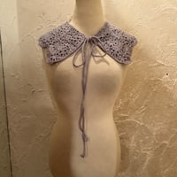 wearing collar49[na239]