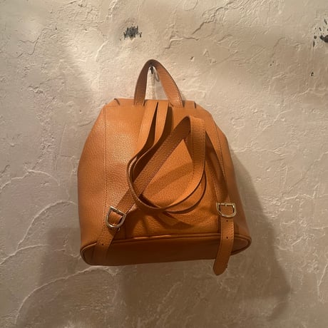 bag 232[ge749]