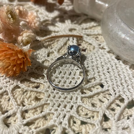 accessory 550[ge836]