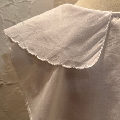 collar 107[ge599]