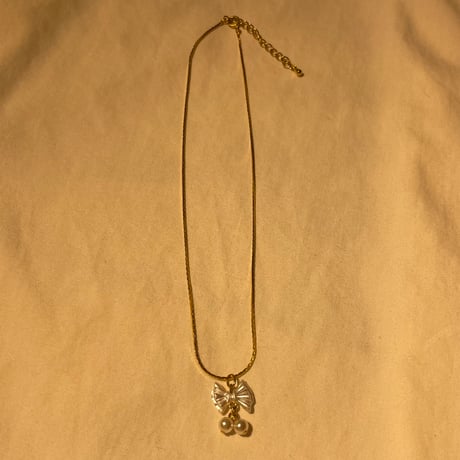 accessory 273[ge210]