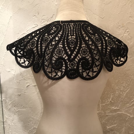 wearing collar13[AA209]