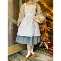 apron 697[ge167]