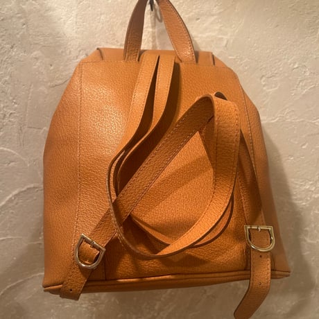 bag 232[ge749]