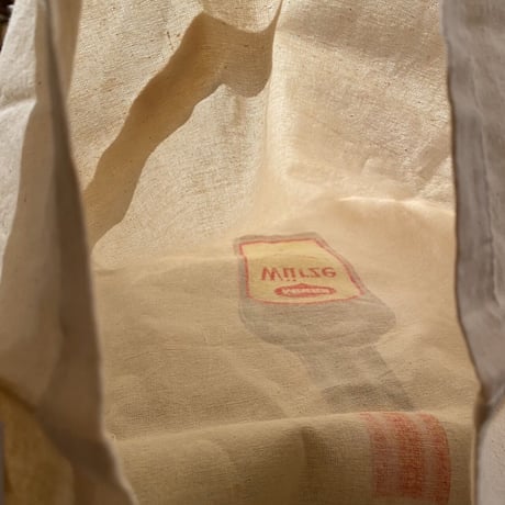 bag47[FF372]