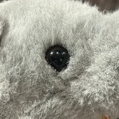 animal 545[ge272]