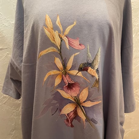 tops 657[na315]