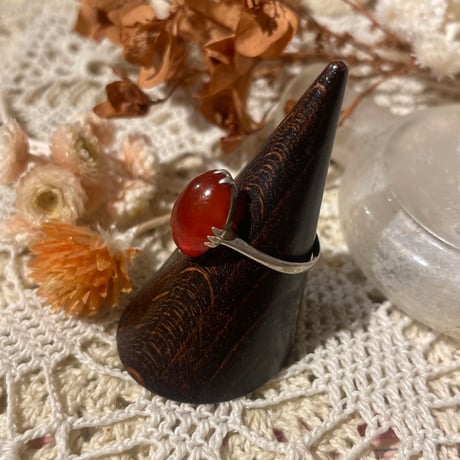 accessory 549[ge835]