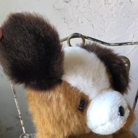 animal 105[AN177]