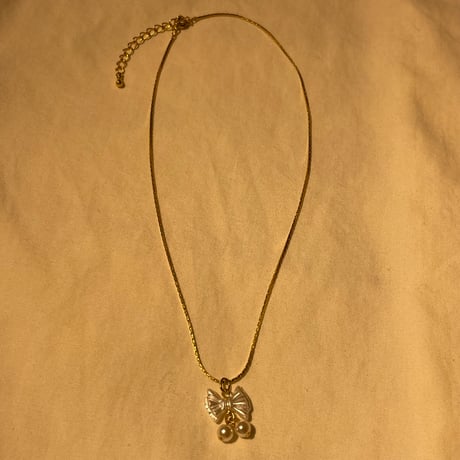 accessory 273[ge210]