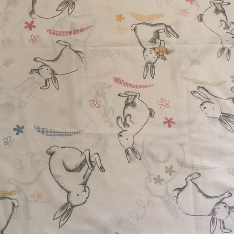 cloth 15[ge59]