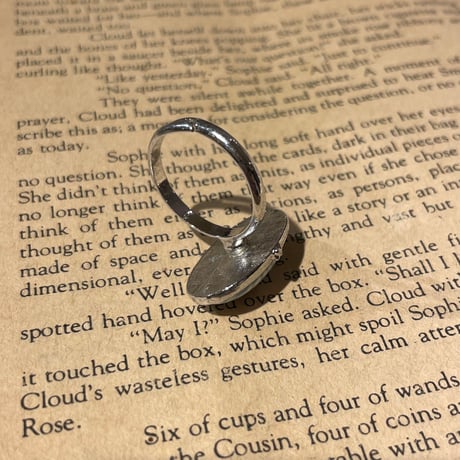 accessory 507[ge507]