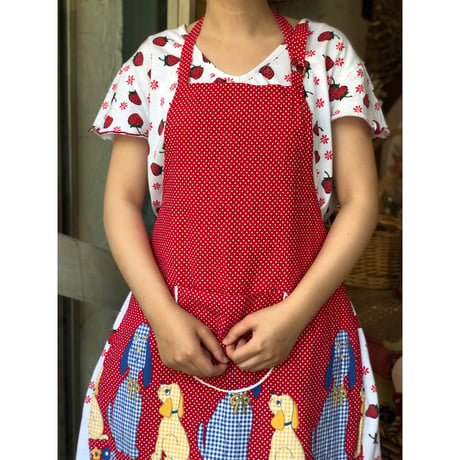 apron 572[ge604]