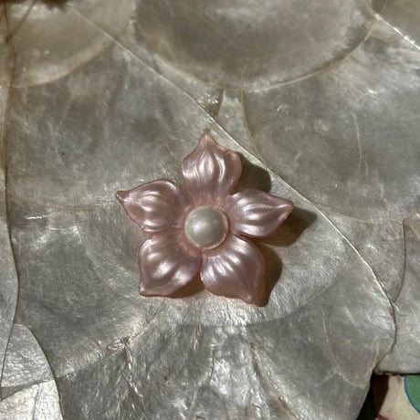 accessory 530[ge738]