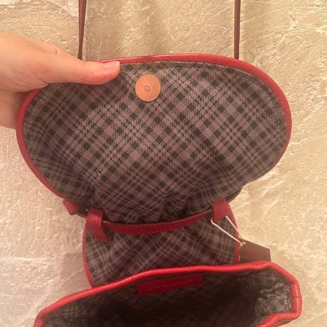bag 229[ge744]
