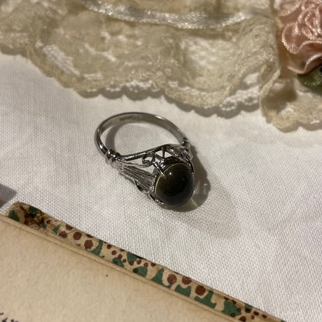 accessory 461[ge994]