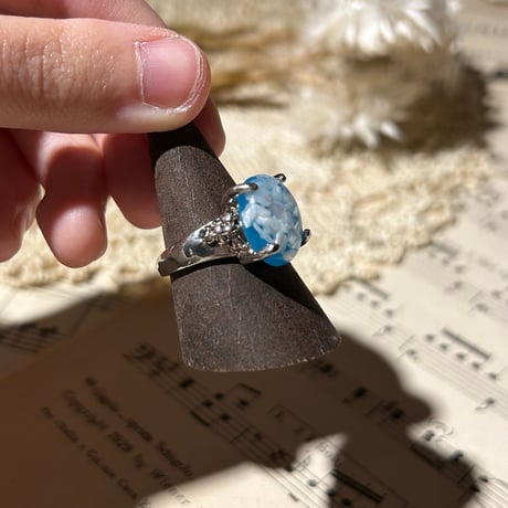 accessory 356[ge773]