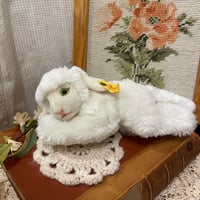 animal 515[an521]