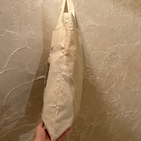 bag 310[ge961]