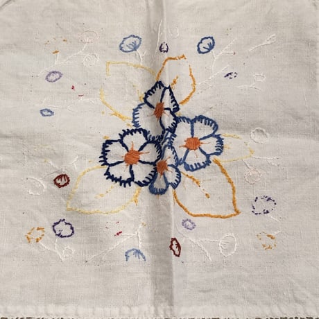cloth 66[ge915]