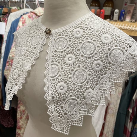 wearing collar 16[AA211]