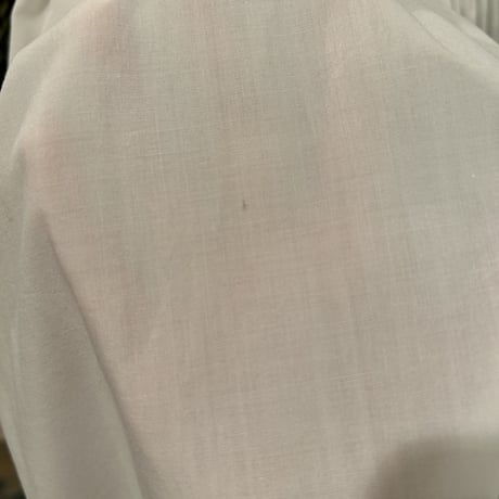 skirt880[ge99]