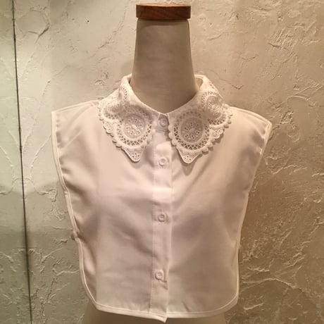 wearing collar 7[AA-189]