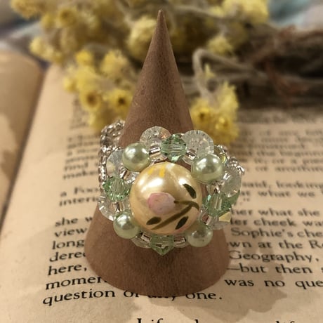 accessory 197[ge208]