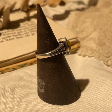 accessory 308[ge483]