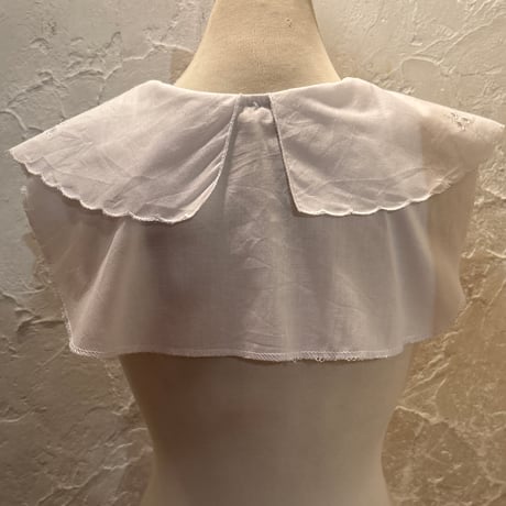 collar 107[ge599]
