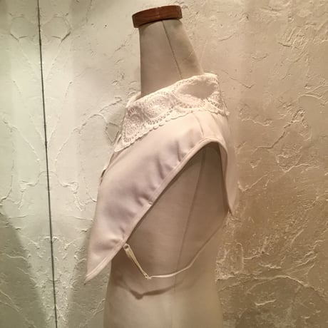 wearing collar 7[AA-189]
