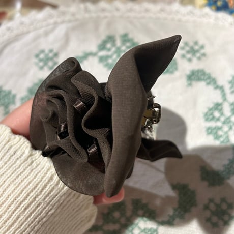 accessorie 491[ge311]
