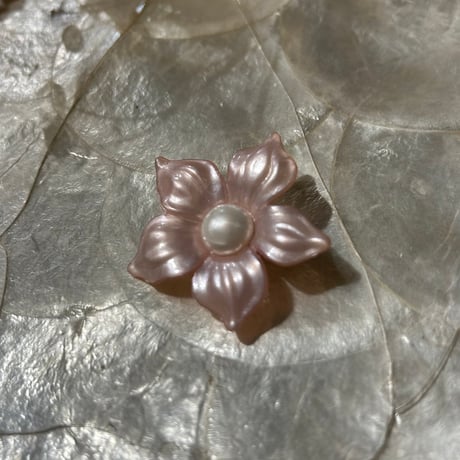 accessory 530[ge738]