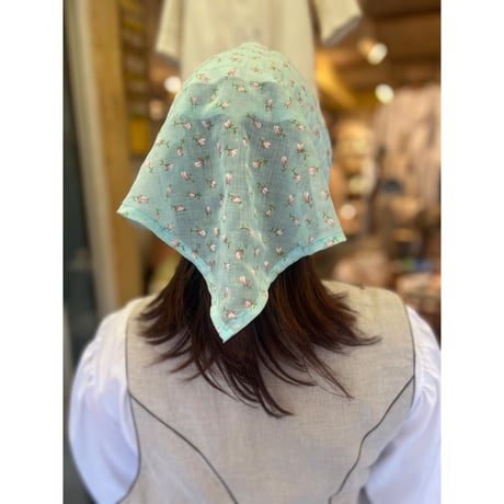 hat 256[na270]