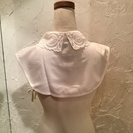 wearing collar 7[AA-189]