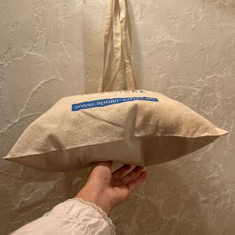 bag 307[ge967]