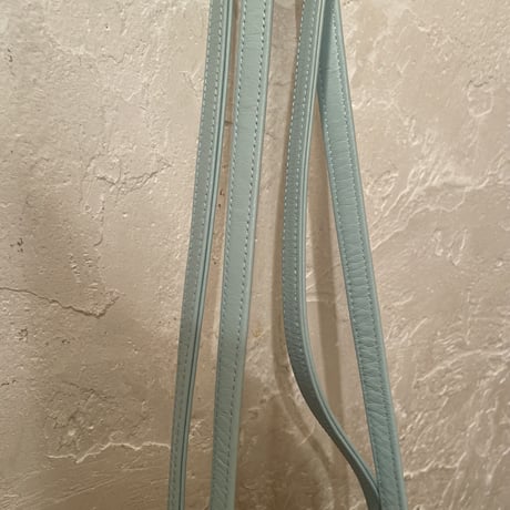 Bag100[ge880]