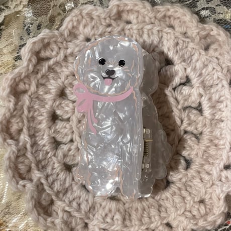 accessory 571[ge241]