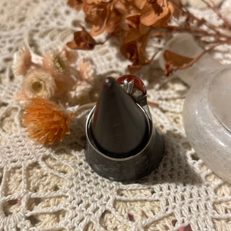accessory 549[ge835]