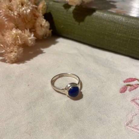 accessory 399[ge984]