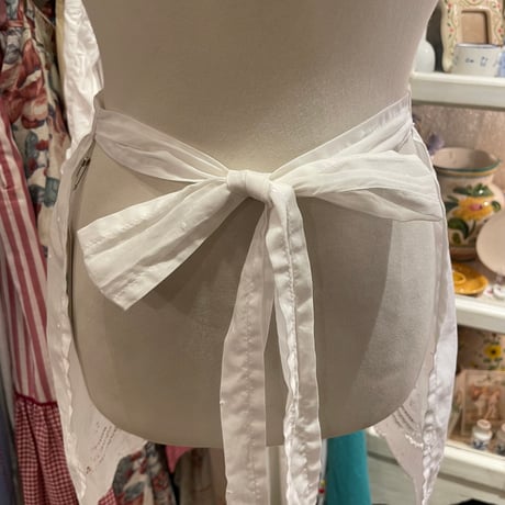 apron 557[ge216]