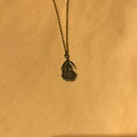accessory 269[ge206]