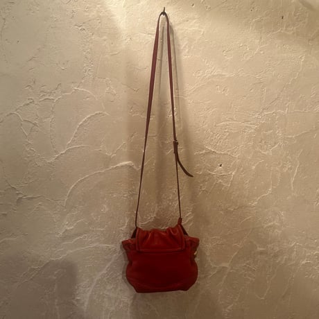 bag 229[ge744]