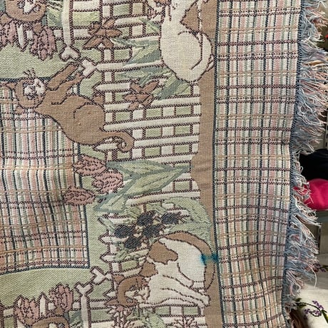 cloth 173[ge998]