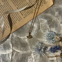 accessory 503[ge396]