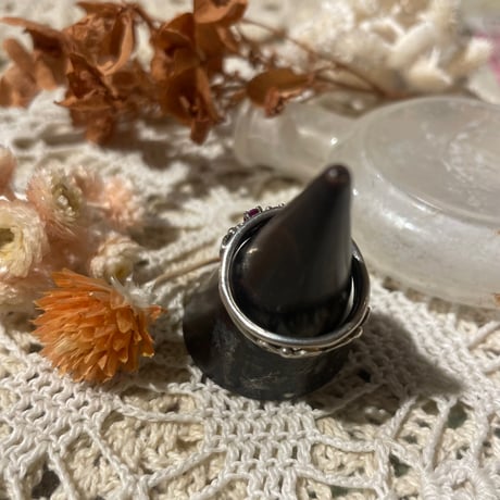 accessory 543[ge829]