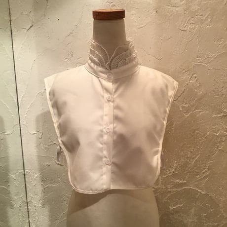 wearing collar 6[AA-189]