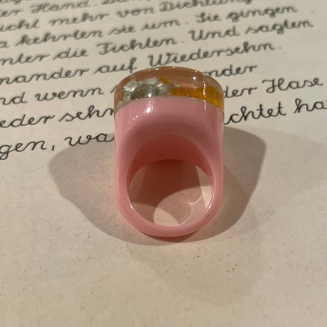 accessory 392[ge887]