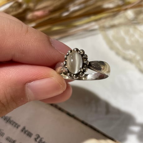 accessory 460[ge993]